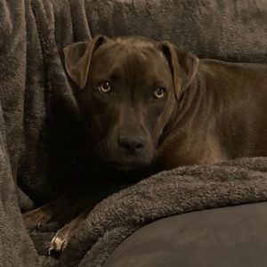 Meet your Posher, Jackie